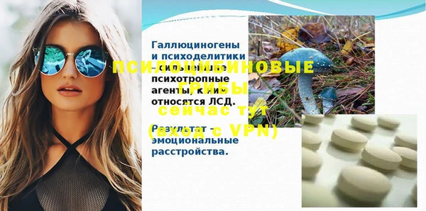СК Абдулино