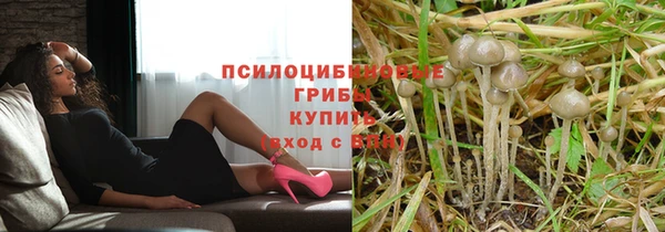 метадон Алексин