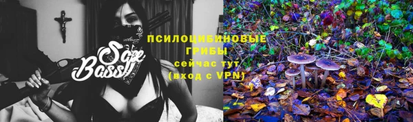 СК Абдулино