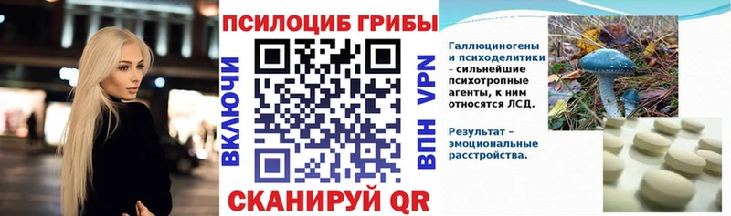 ссылка на мегу зеркало  Сольвычегодск  Псилоцибиновые грибы мухоморы 